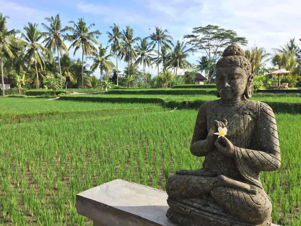 The Suris Ubud מראה חיצוני תמונה